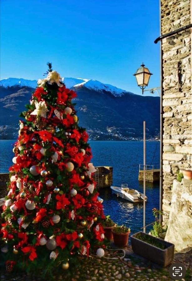 Al Castello Διαμέρισμα Ντέρβιο Εξωτερικό φωτογραφία
